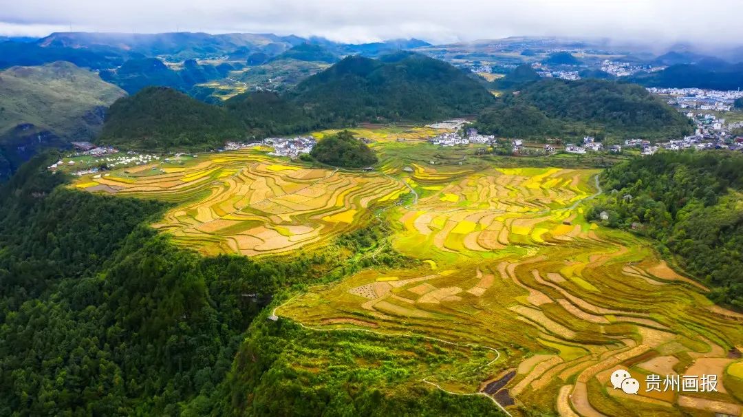 当季| 大好时光在乡野,贵州高坡"丰"景如画_澎湃号·政务_澎湃新闻
