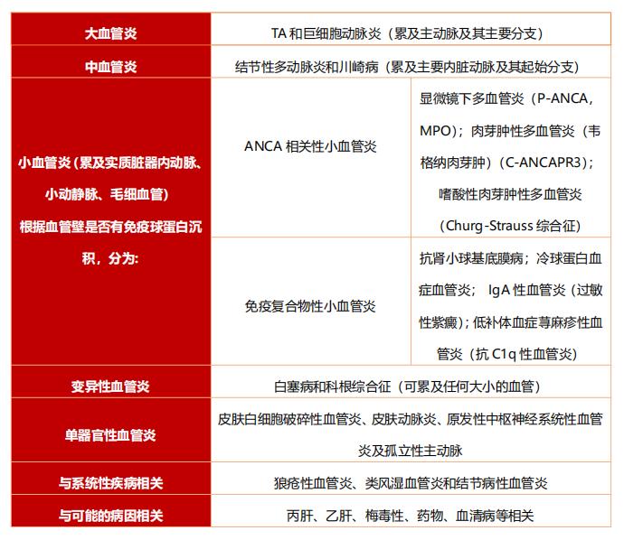 什么是加用治疗大动脉炎的诊断与治疗，看这篇就够了_https://www.jmylbn.com_新闻资讯_第2张