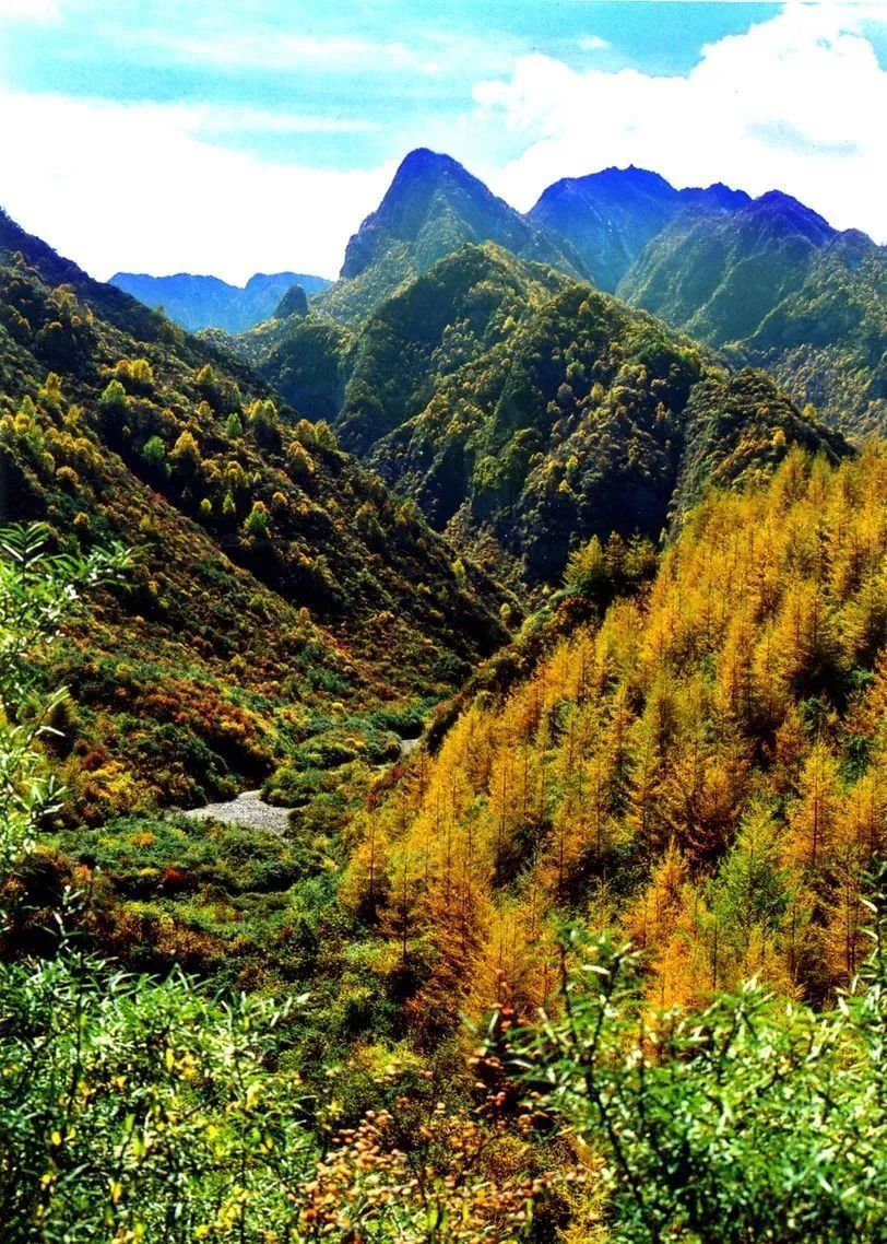 打开十月浅秋甘肃渭源迎来最美赏秋季