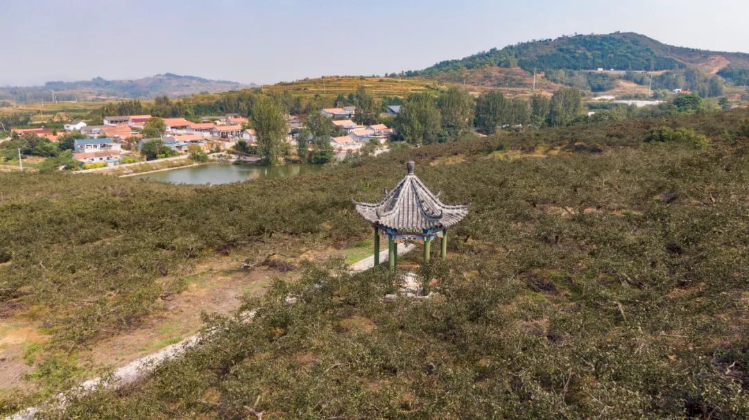 李家大沟地处陈疃镇东部,这里东倚大山,西靠梅朵山,南邻日照水库,北侧