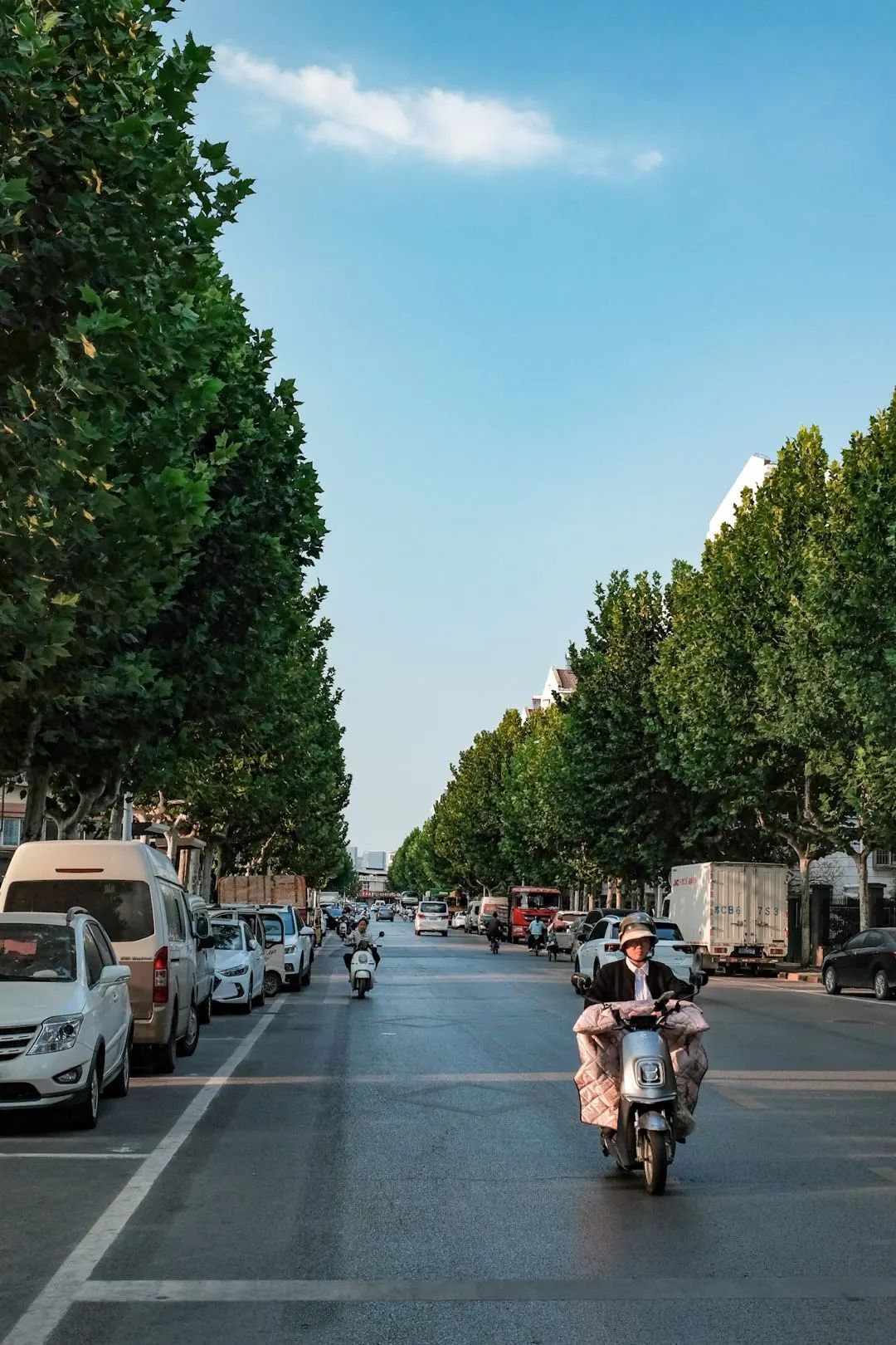 醉美云龙丨住在新城区的惠民花园是怎样的体验