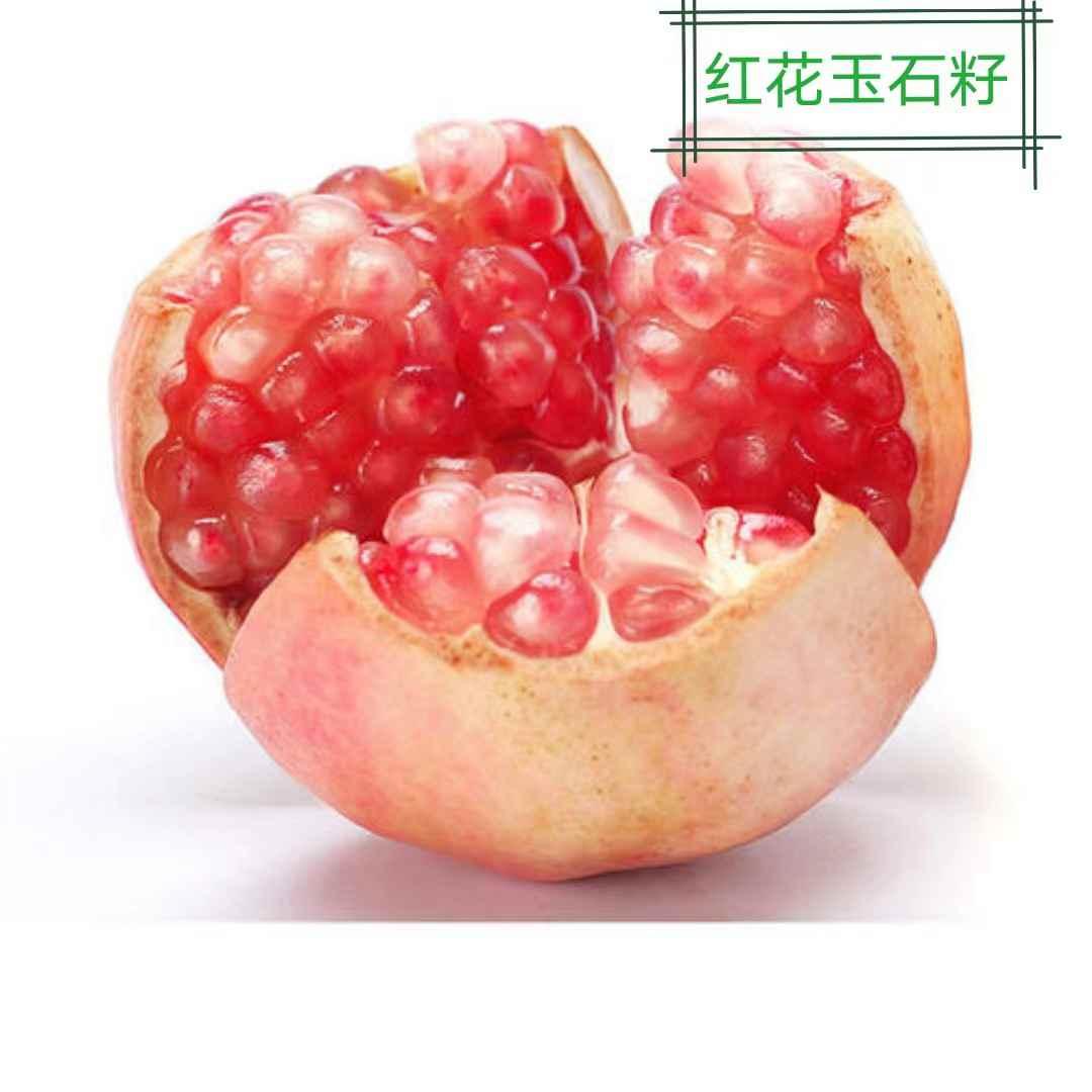 法官随笔︱怀远石榴美四季