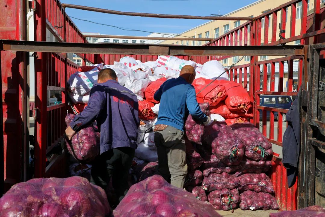 康保县支援市主城区3万斤蔬菜装车起运_澎湃号·政务_澎湃新闻-the pa