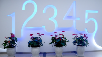 上海12345十周年：感知市民心声，感知城市运行