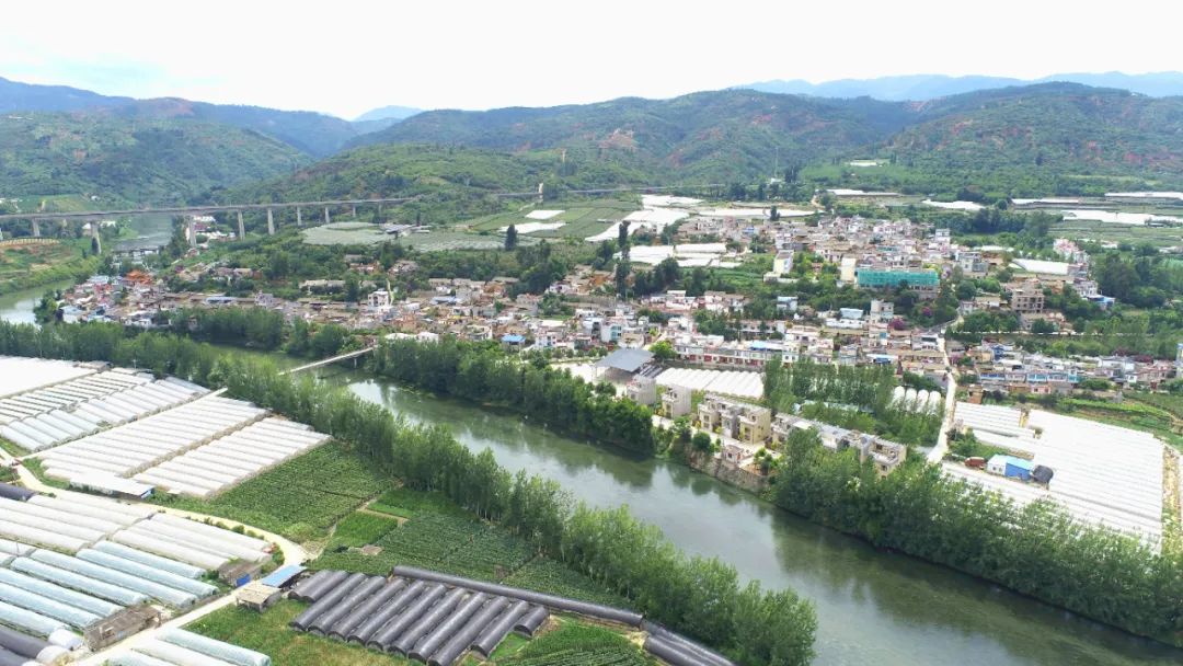 共绘乡韵蓝图——昭通市巧家县金塘镇梨树村"干部规划家乡行动"村庄