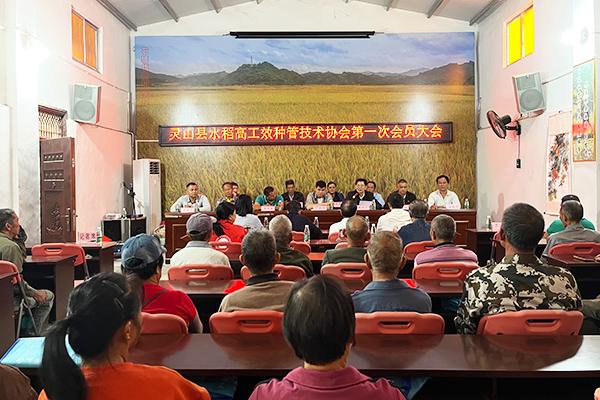 灵山县水稻高工效种管技术协会第一次会员大会召开