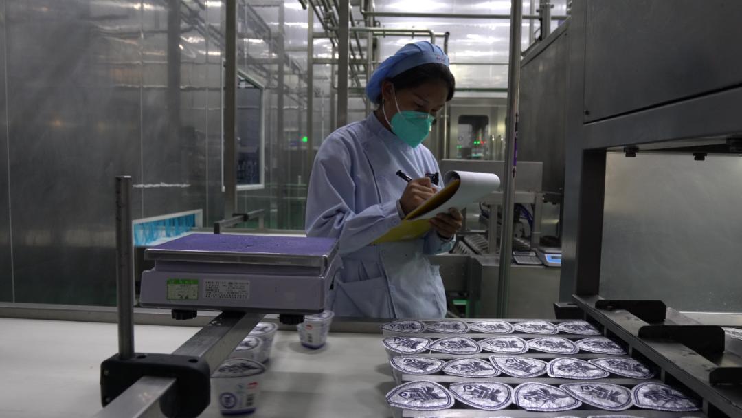 拉萨这家酸奶厂复产了记者直击