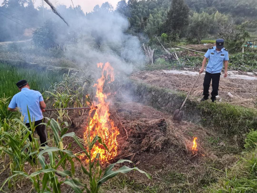 引以为戒严禁一切违规野外用火