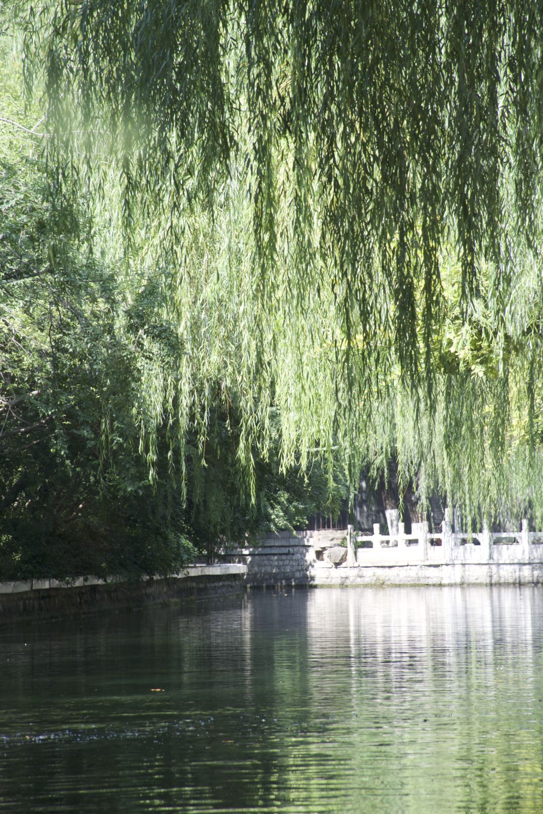 老底子小吃堪称一绝,她的秋天我是真爱了