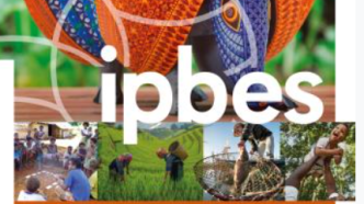 IPBES价值评估和IPBES野生物种可持续利用评估的最后章节现已发布 | IPBES执行致函