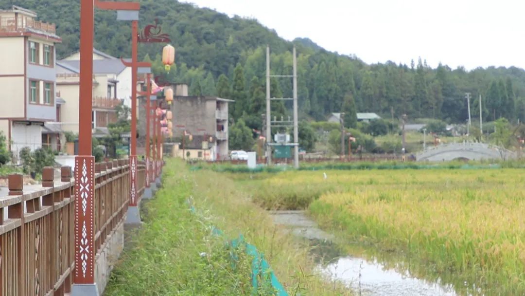 致富经室内养虾视频_致富经养虾_致富经养殖虾
