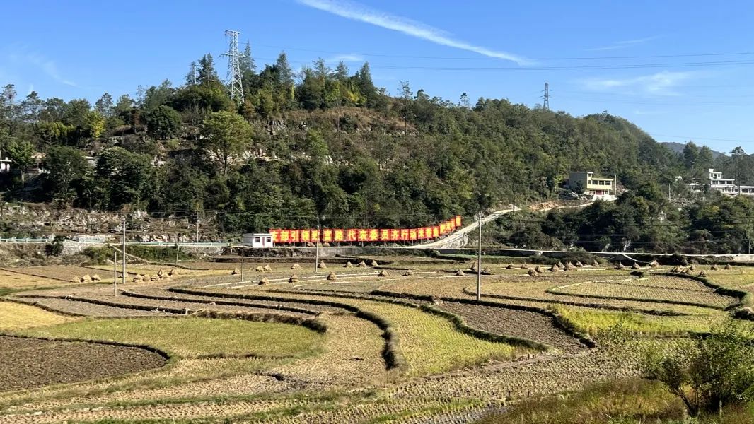 王世利到修文县六广镇调研乡村振兴,疫情防控,信访维稳等工作_澎湃号