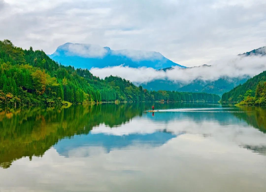 霜降| 山明水净夜来霜,数树深红出浅黄_澎湃号·湃客_澎湃新闻-the