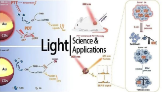 Light | 表面增强拉曼光谱监测肿瘤的光动力治疗