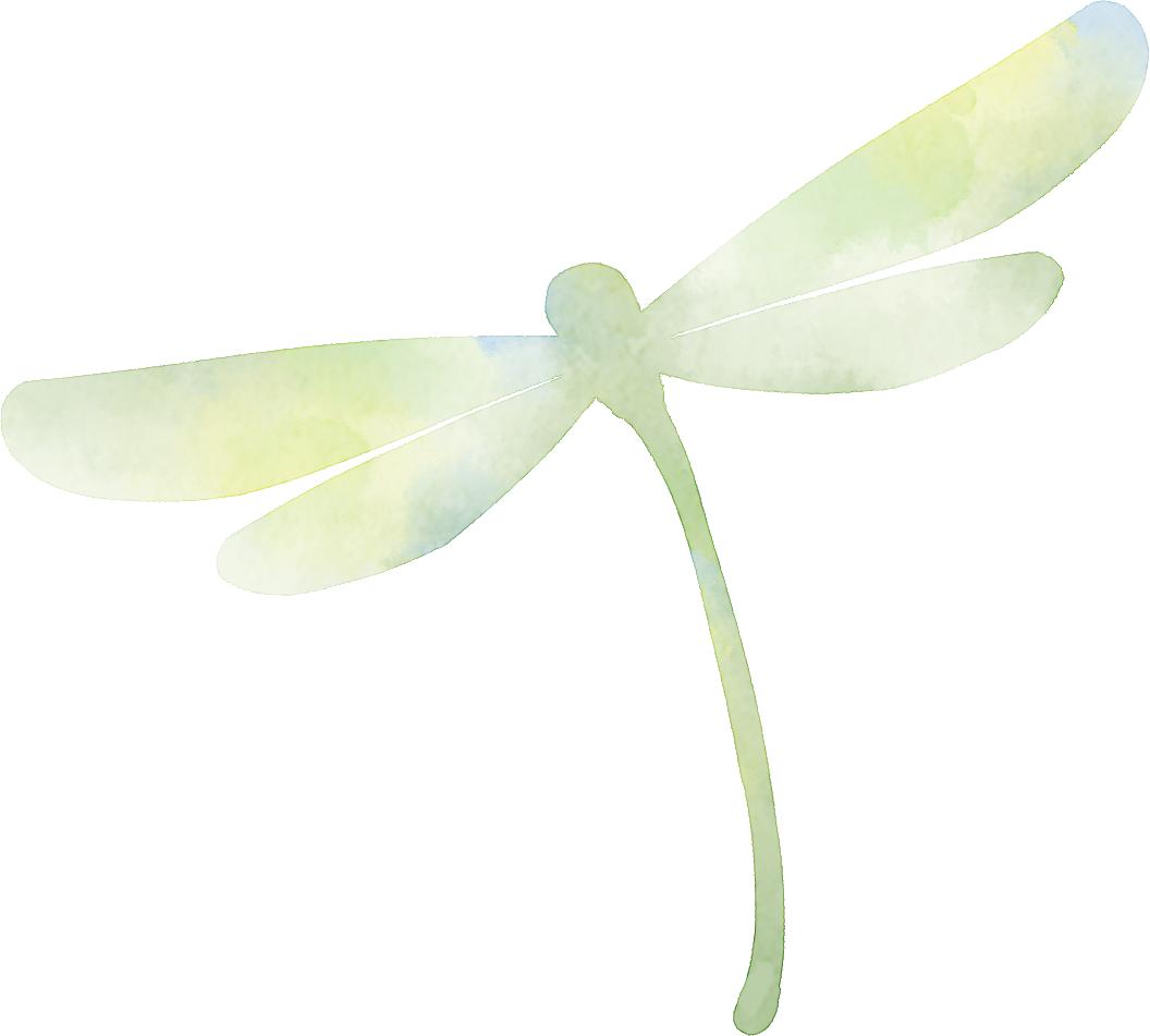 南开四季无与伦比的美丽