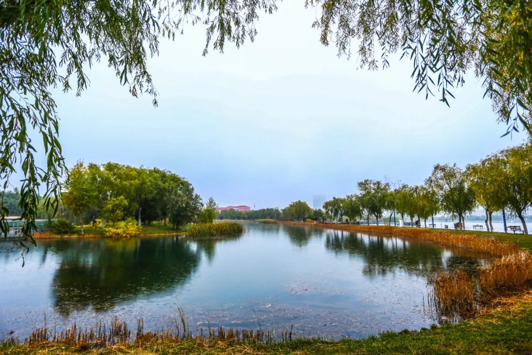 金水湖国家湿地公园位于甘肃省金昌市金川区,新材料工业园区新华路和s