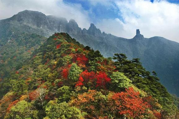 贵州10月旅游景点，这5个10月枫景赶紧收藏
