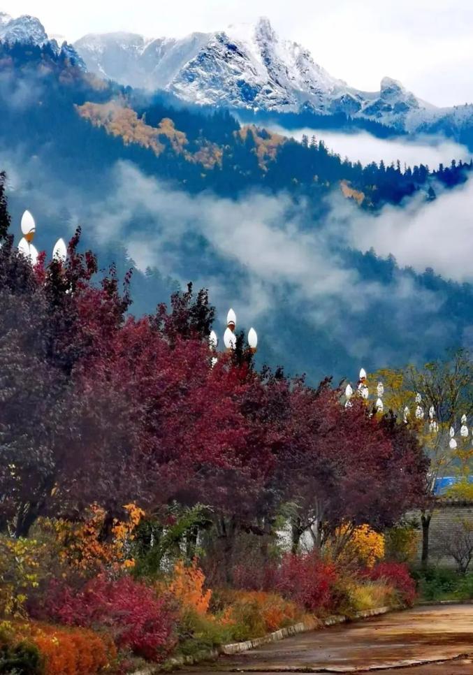 秋色如画 醉美迭部_澎湃号·政务_澎湃新闻-the paper