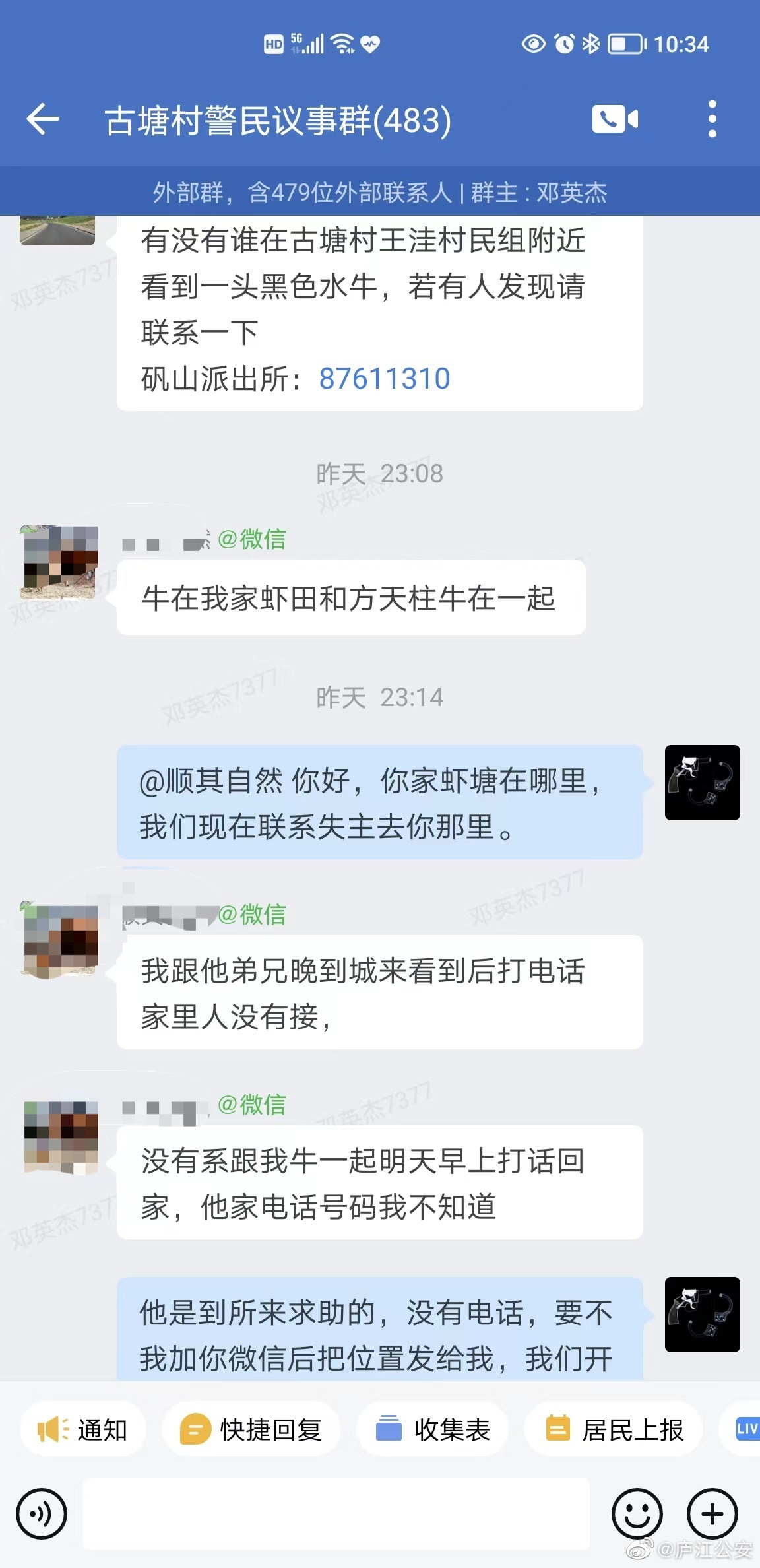 这个群里帮忙找到牛,真牛!_澎湃号·政务_澎湃新闻-The Paper