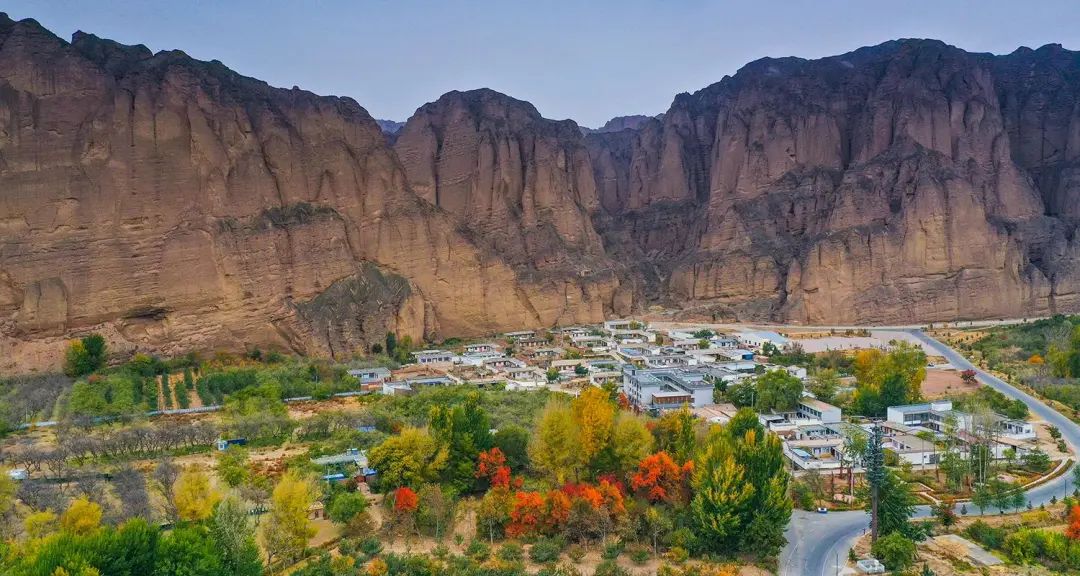 甘肃景泰:龙湾村的金秋时节_澎湃号·政务_澎湃新闻-the paper