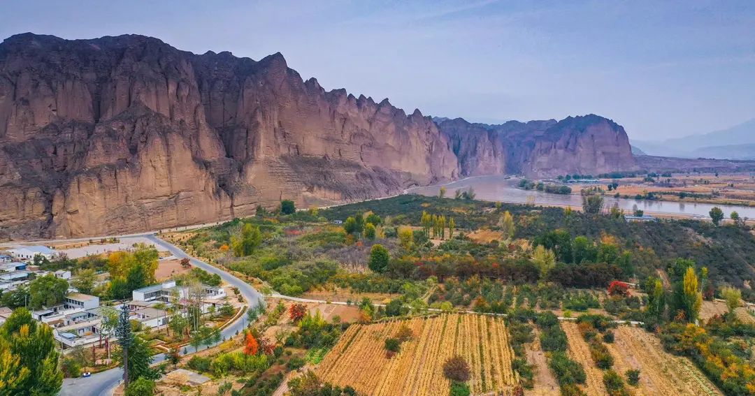 甘肃景泰:龙湾村的金秋时节_澎湃号·政务_澎湃新闻-the paper