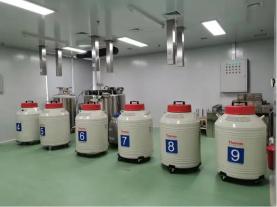 关于北京大学首钢医院号源查询办理住院的信息