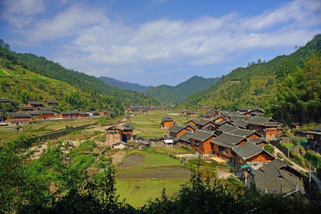 乡游黔中 · 剑河县 昂英村|稻香鱼肥时,唤起乡愁味_澎湃号·政务