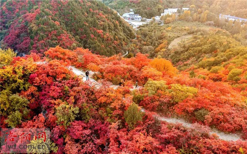 洛阳市洛宁县旅游景点图片