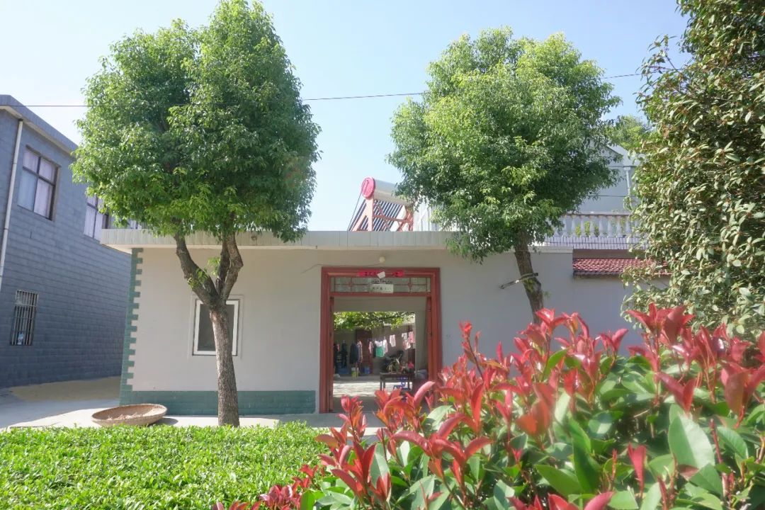 丰庄镇积极开展绿色庭院推选展示寻找活动_澎湃号·政务_澎湃新闻-the