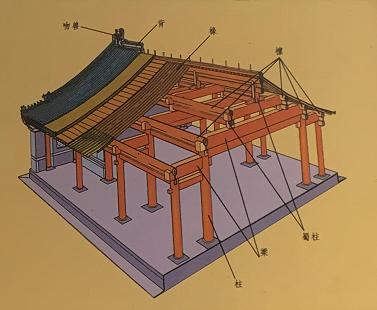 古建筑中藏着哪些绿色秘密?本报独家专访天坛公园高级工程师