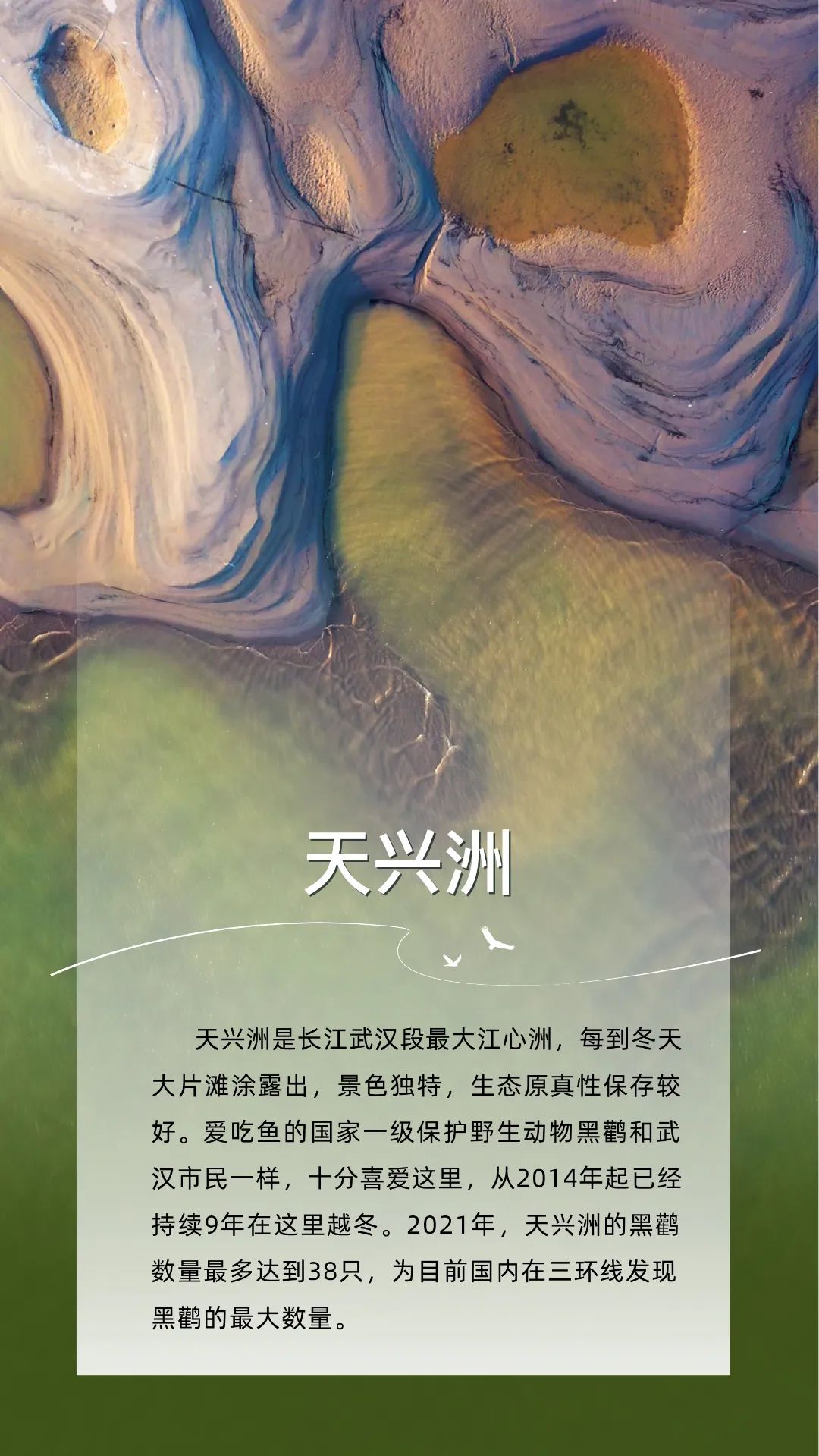 倒计时5天！人民日报整版聚焦武汉_澎湃号·政务_澎湃新闻-The Paper