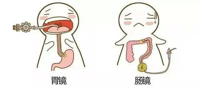 胃肠镜都有什么品牌【小南话科普】90%的疾病都集中在消化道！胃肠镜检查能“救命”！_https://www.jmylbn.com_新闻资讯_第6张