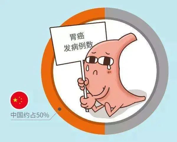 胃肠镜都有什么品牌【小南话科普】90%的疾病都集中在消化道！胃肠镜检查能“救命”！_https://www.jmylbn.com_新闻资讯_第8张