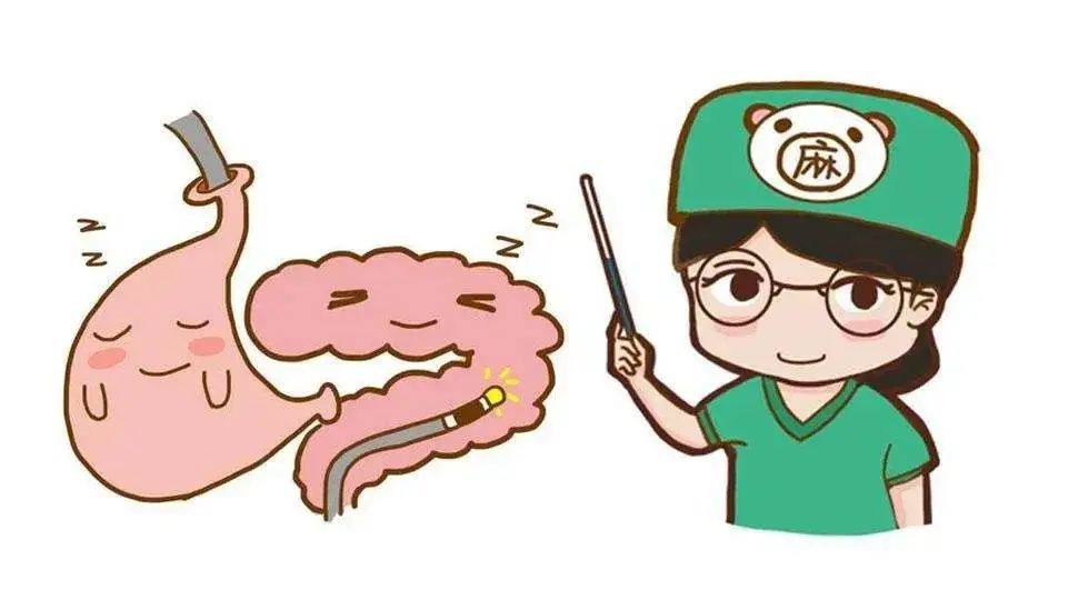 胃肠镜都有什么品牌【小南话科普】90%的疾病都集中在消化道！胃肠镜检查能“救命”！_https://www.jmylbn.com_新闻资讯_第16张