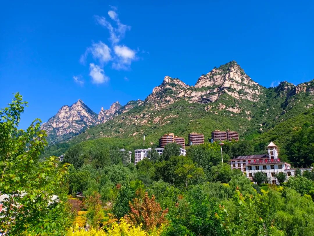 【红色灵寿】佩服老县长白兴道_澎湃号·政务_澎湃新闻-the paper