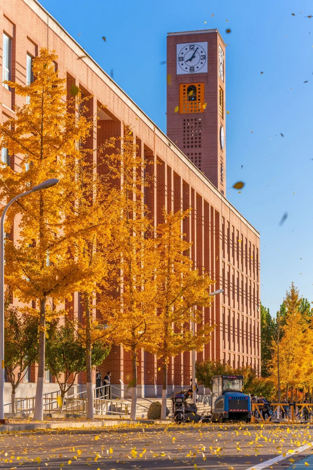 起风了,这是国科大秋天最美的样子!