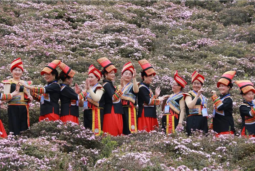 一线快报 | 禄劝马鹿塘乡:凝聚"她力量"绽放"她风采"_澎湃号·政务