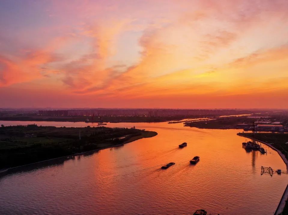 西渡·浦江第一湾的"醉美"秋景拍了拍你→_澎湃号·政务_澎湃新闻-the