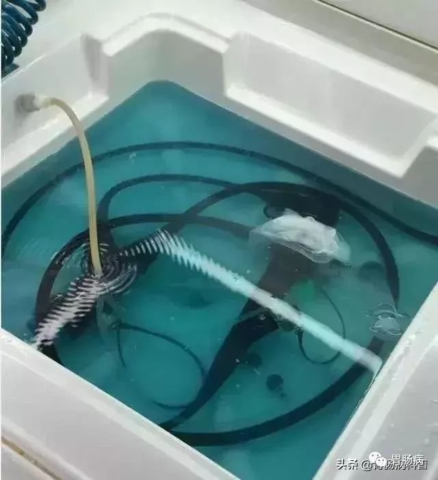 为什么活检钳不是一次性胃镜是一次性的吗？胃肠镜能不能同时做？_https://www.jmylbn.com_新闻资讯_第2张