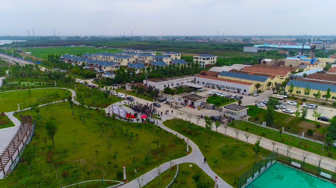 海通镇:奋力打造沿海地区乡村振兴高质量发展样板区