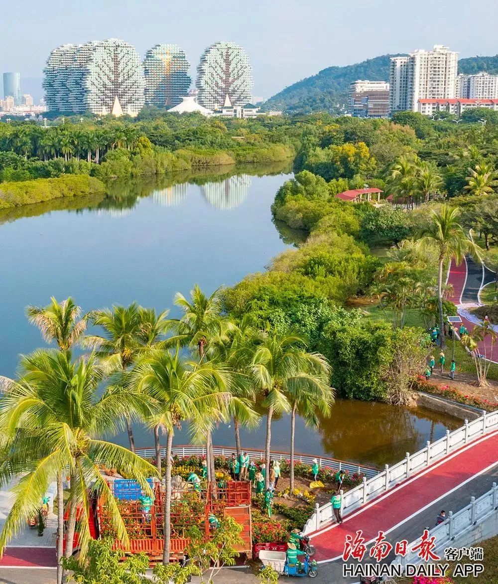 三亚白鹭公园全新亮相!(多图)_澎湃号·政务_澎湃新闻-the paper