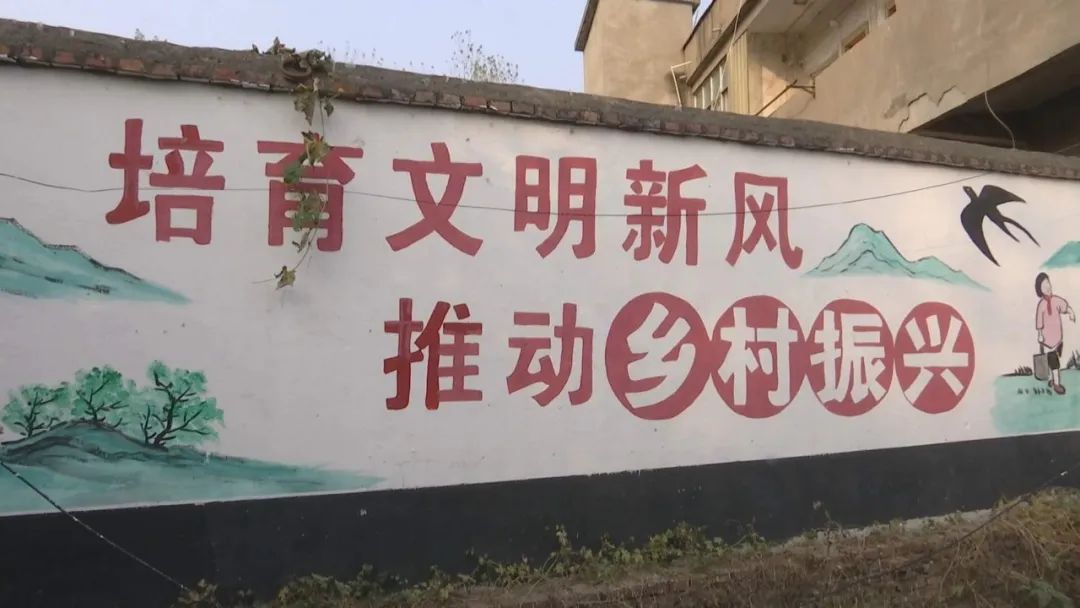 涡阳龙山镇:文化上了墙 乡村亮堂堂