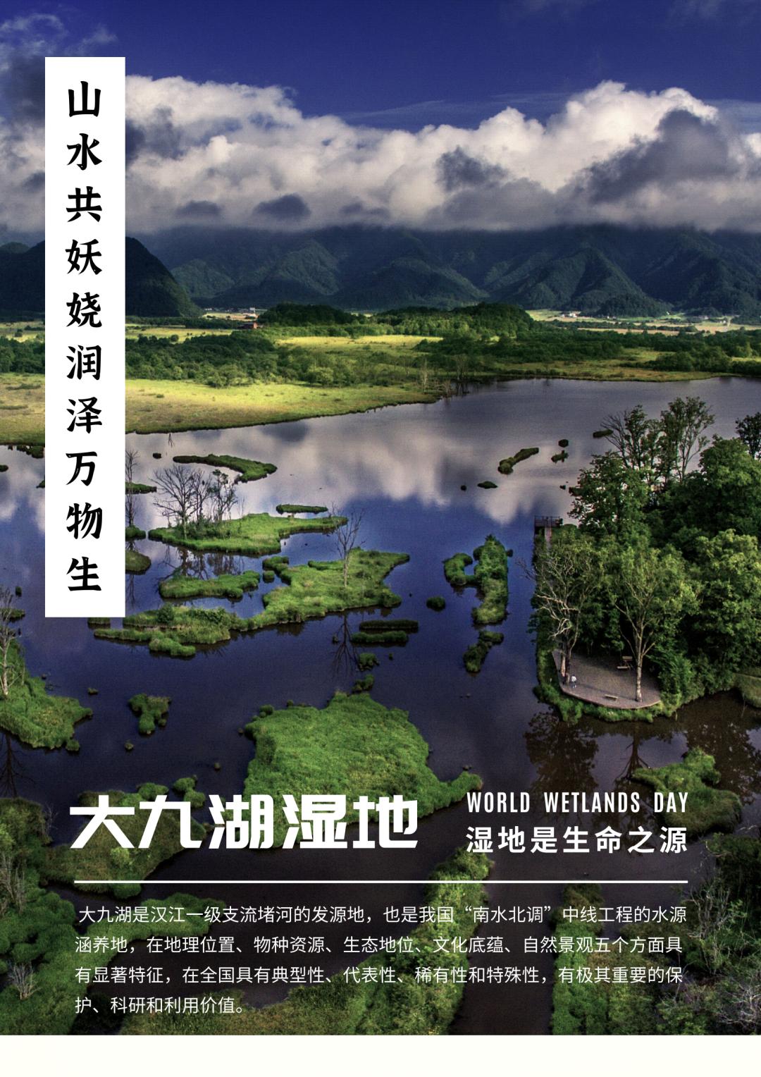 山水共妖娆 润泽万物生,来大九湖体验生态之美!