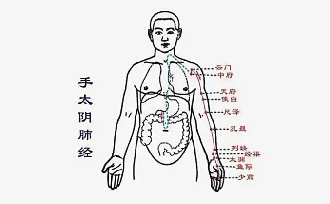 秋冬养肺宝典