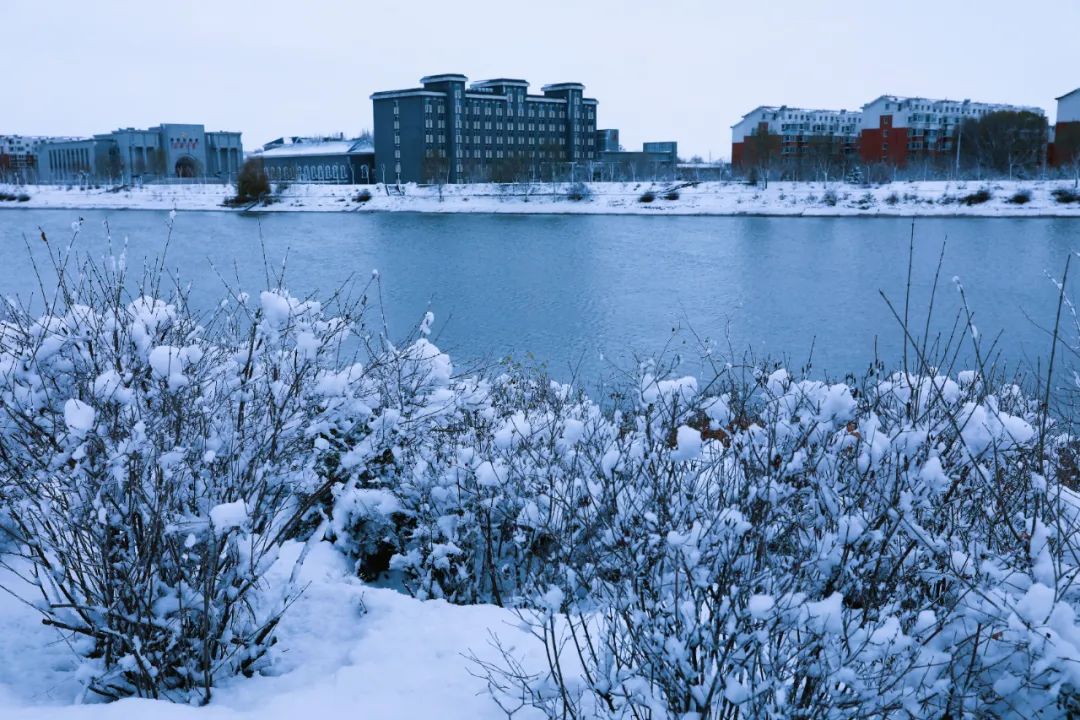 阜新雪景图片