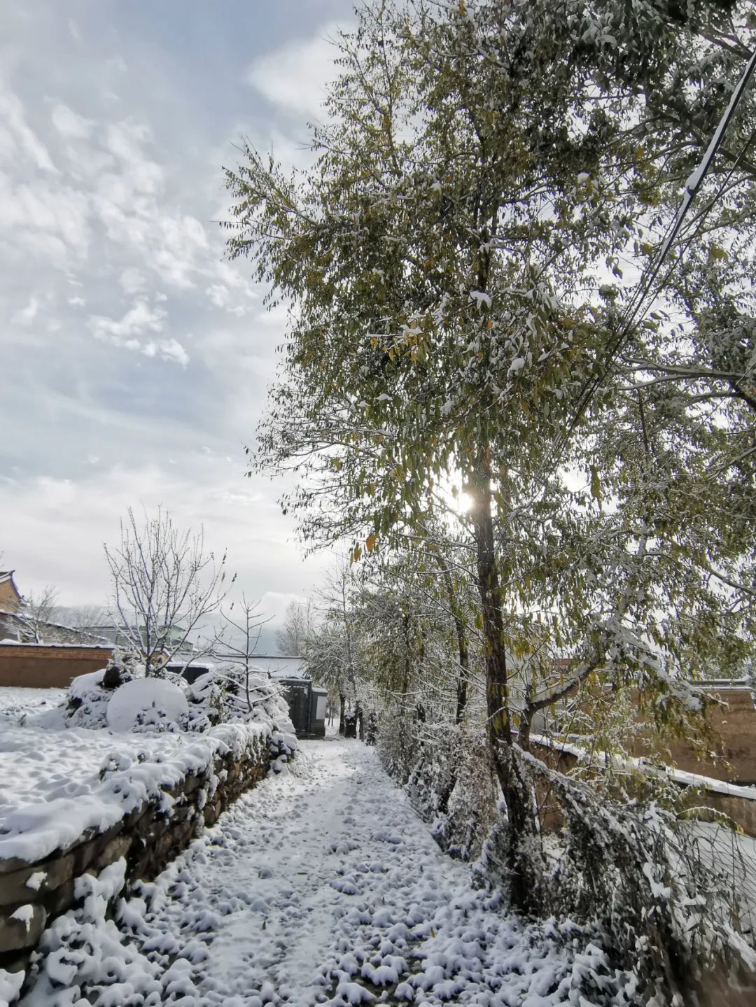 甘肃农村雪景图片