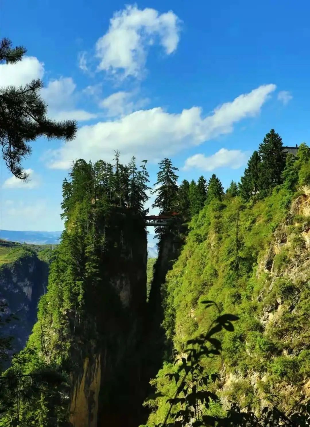 贵清山风景区图片图片