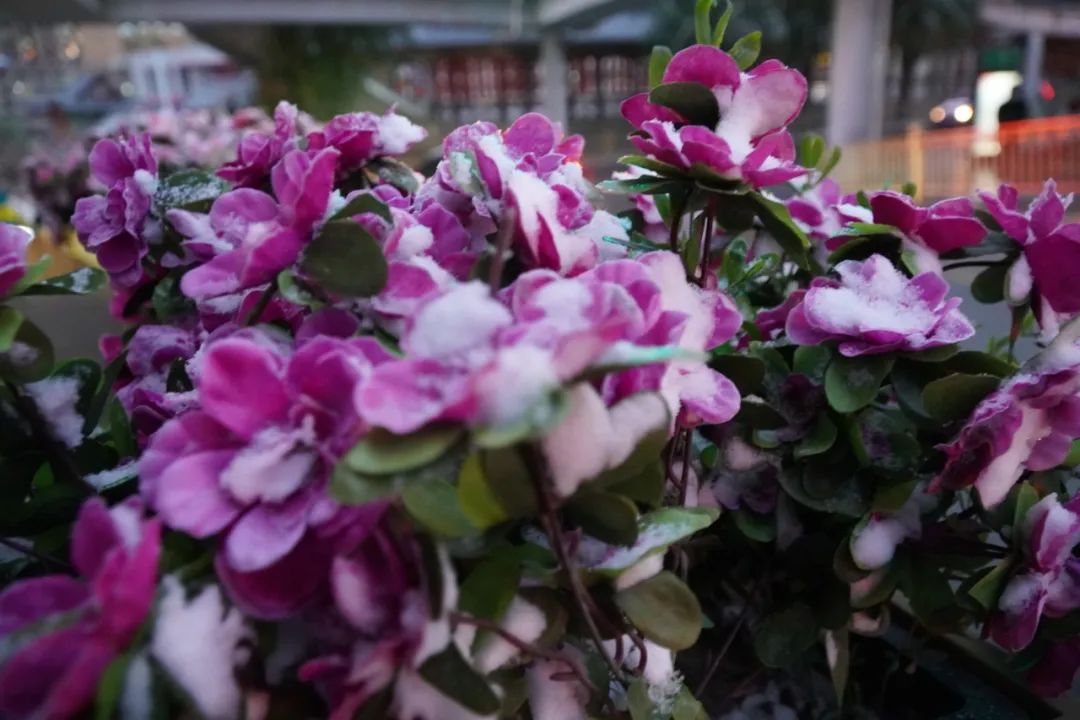 最佳旅游香港时间表_最佳旅游香港时间是几点_香港最佳旅游时间