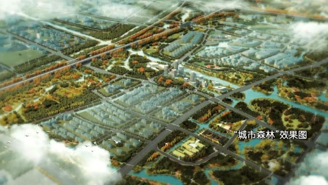 北蔡镇：打造“城市森林”，为“金色中环”添生态宜居底色