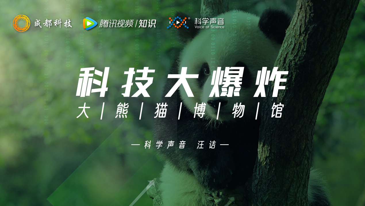 成都大熊猫专题互动博物馆：看熊猫能科普，还能体验高科技